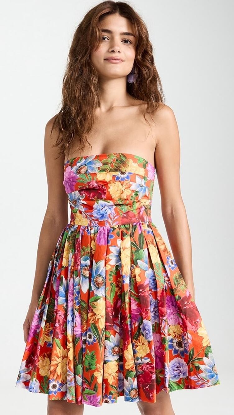 Cara Cara Nadia Floral Strapless Pleated Mini Dress Summer Resort 4